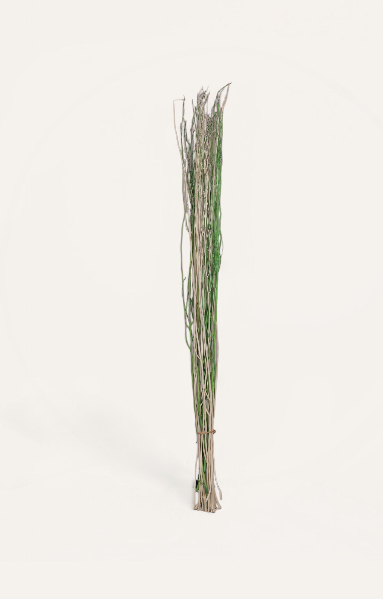 Elafros White Lady Deco Stick