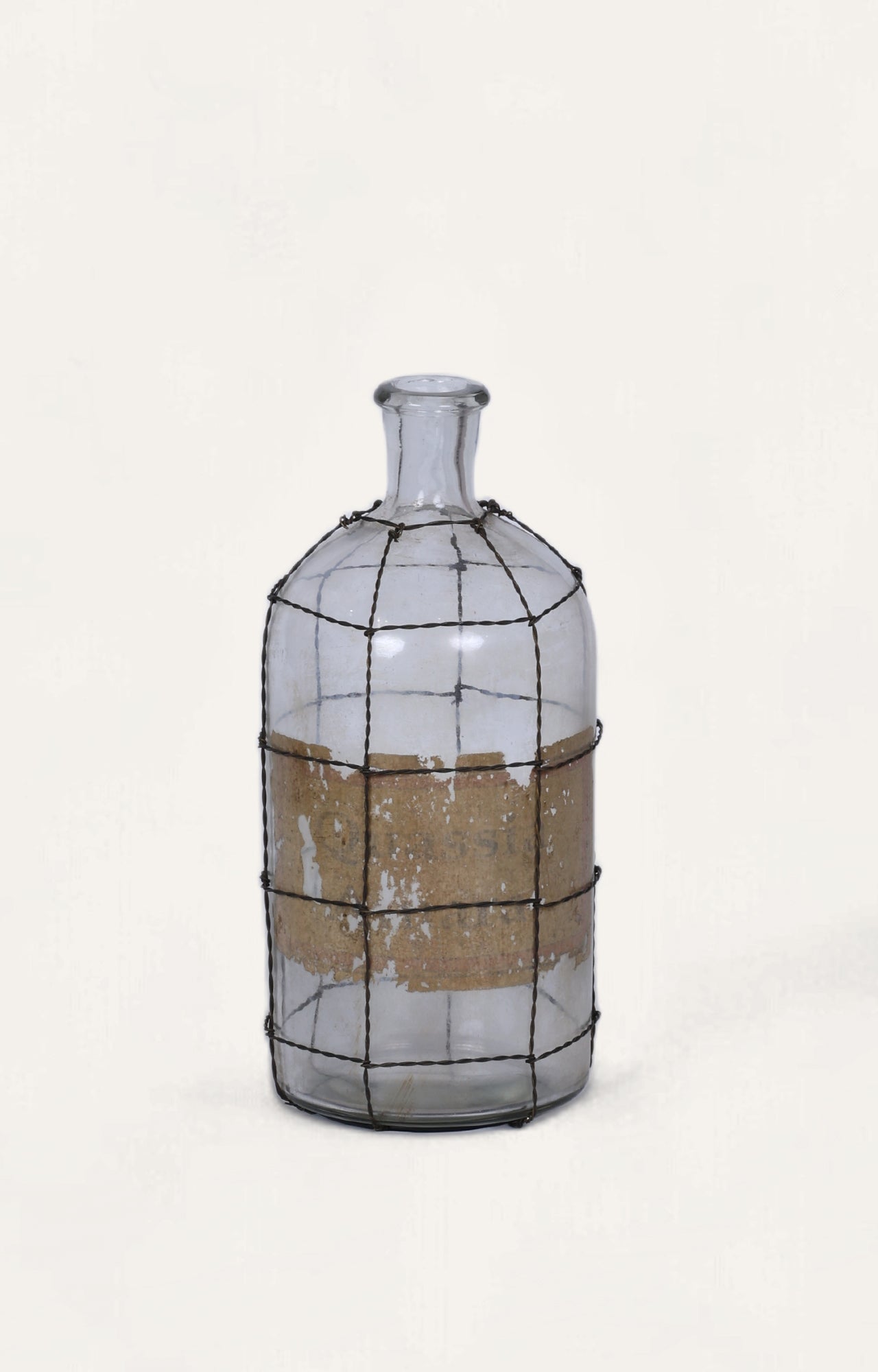Jardiniere Wire-Caged Glass Vase/ bottle