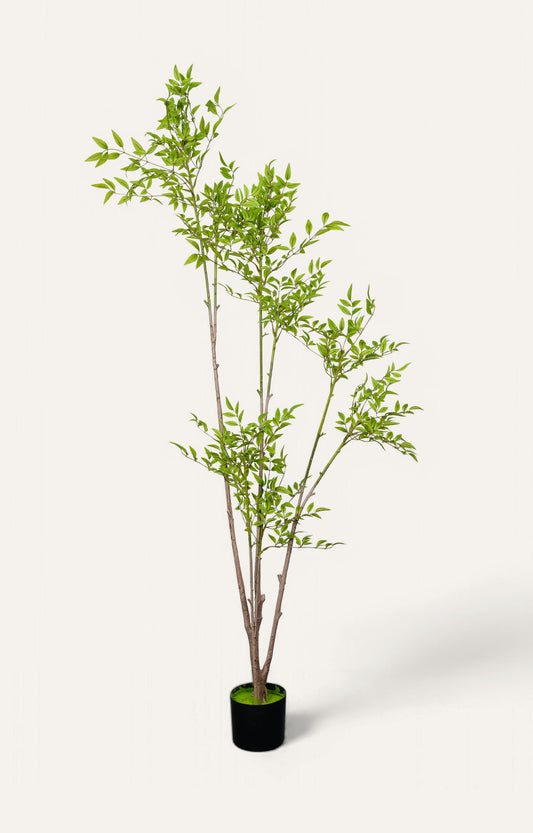 Artificial Birch Leaf Plant – 6 Feet