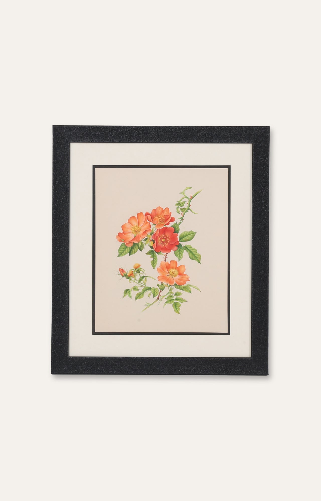 Wild Rose Miniature Painting