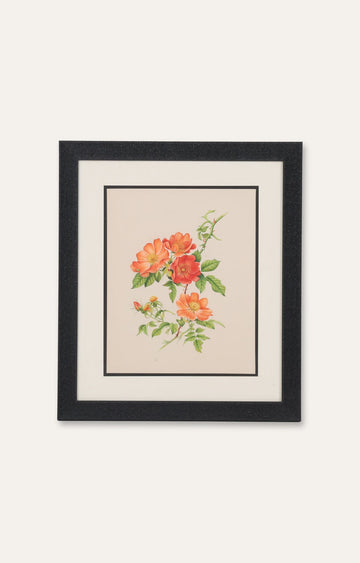 Wild Rose Miniature Painting