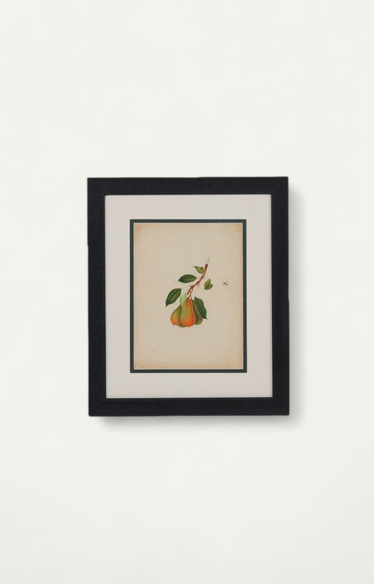 Vintage Botanical Pear Painting