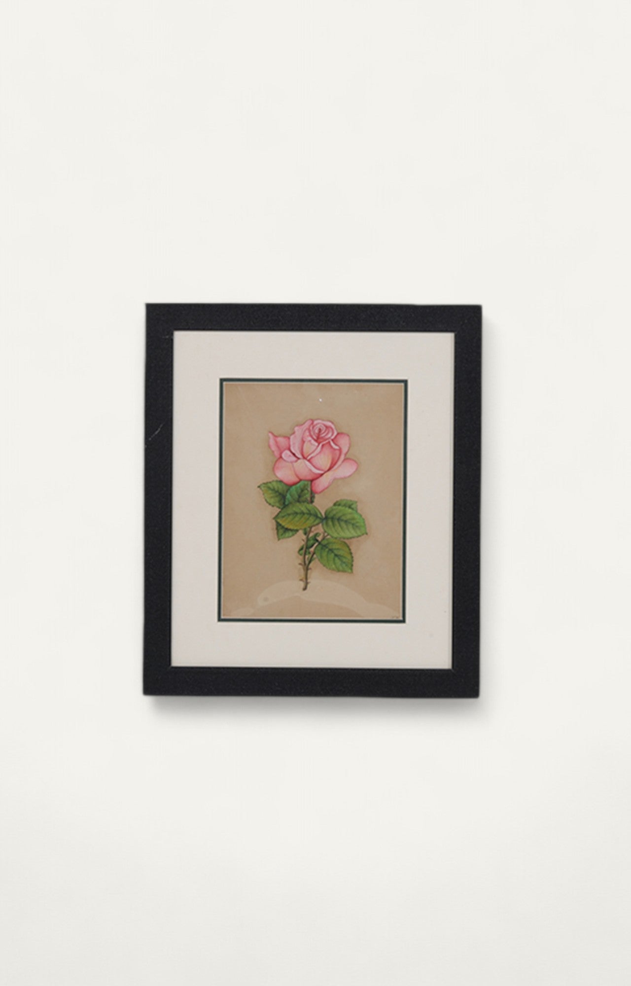 Pink Rose Botanical Minature Painting