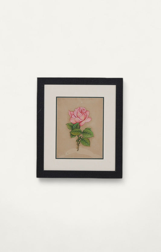 Pink Rose Botanical Minature Painting