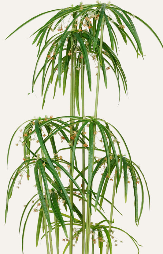 Artificial Umbrella Papyrus Plant – 4.5 ft