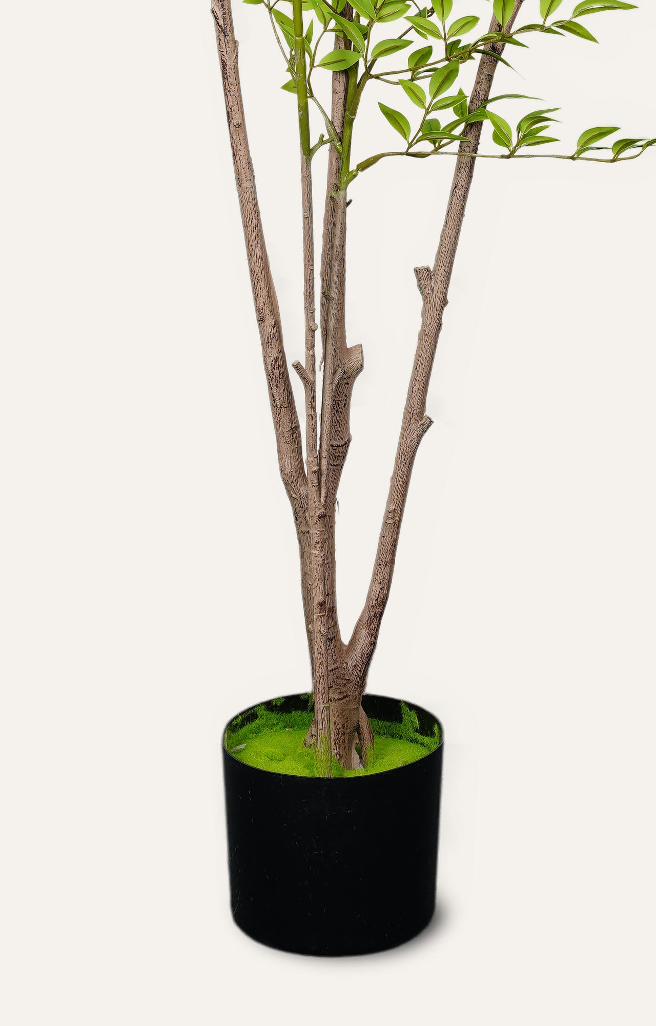 Artificial Birch Leaf Plant – 6 Feet