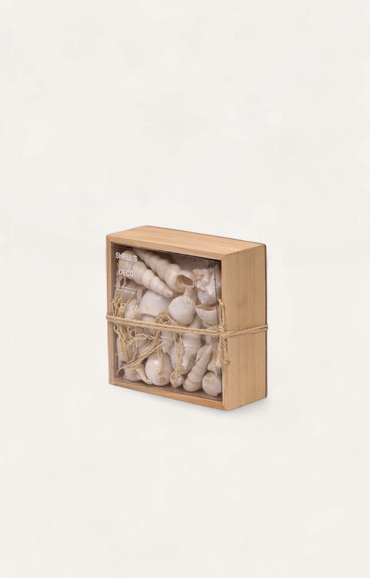Thesauros Wooden Beach Shell Box