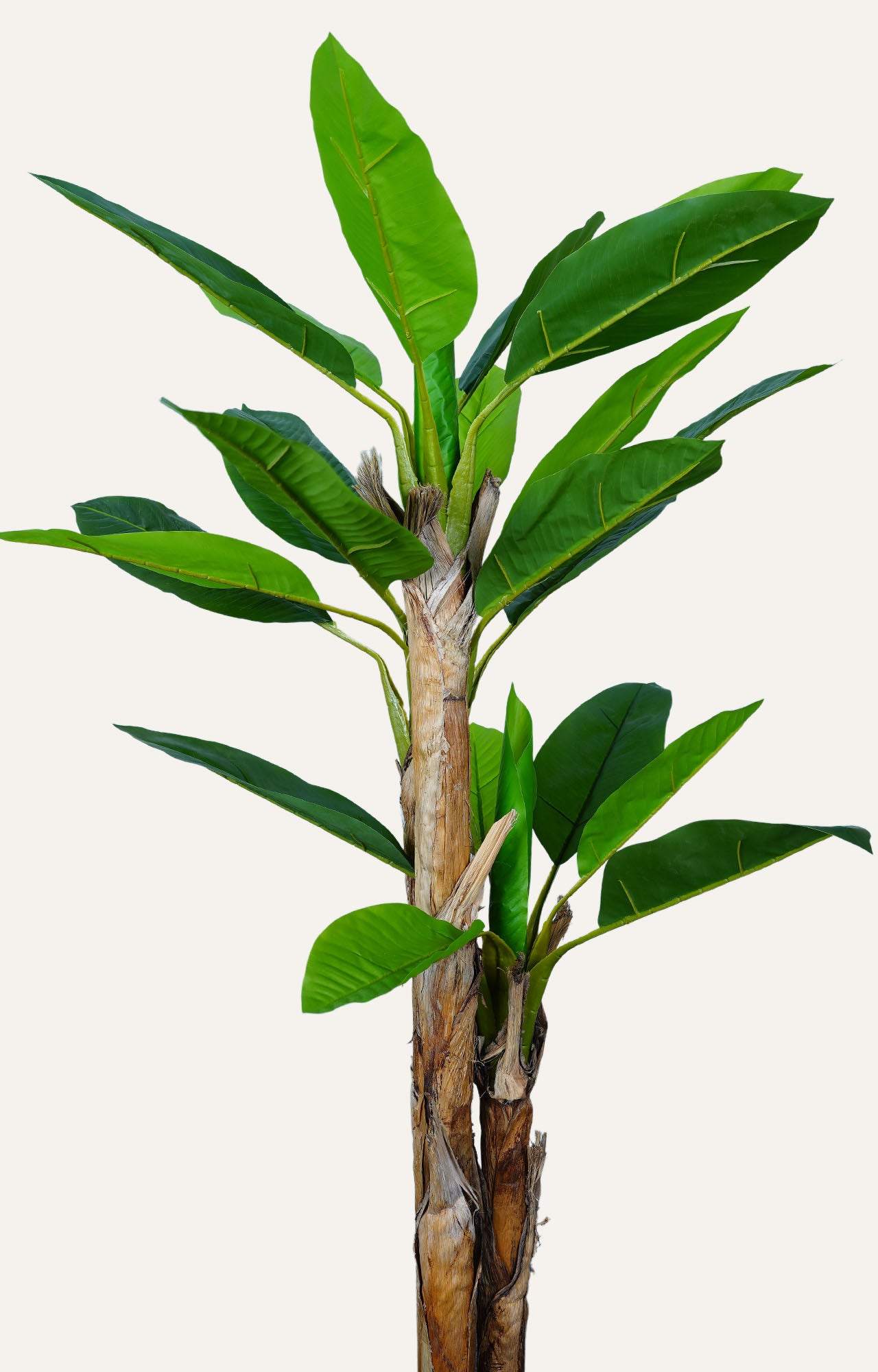 Artificial Banana Leaf Plant – 6.5 Feet