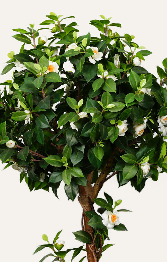 Artificial Camellia Topiary – 3 Feet