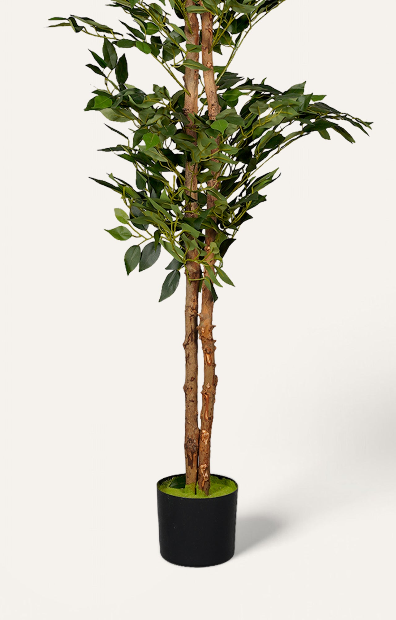 Artificial Ficus Tree – 6 Feet