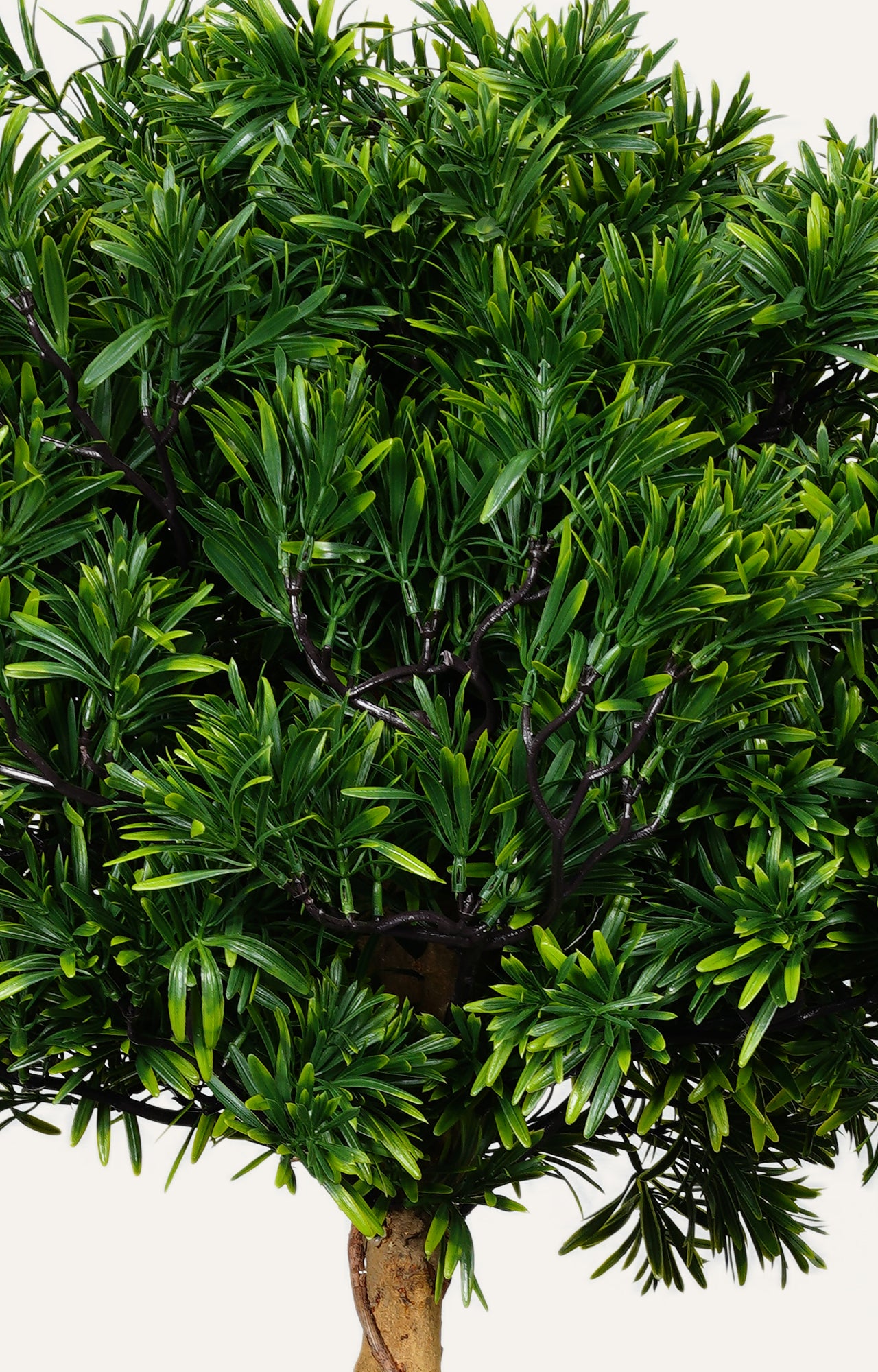 Artificial Podocarpus Spiral Topiary – 3.5 Feet