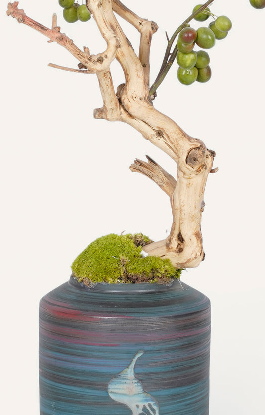 Blue Ceremic Flower Vase With Plant