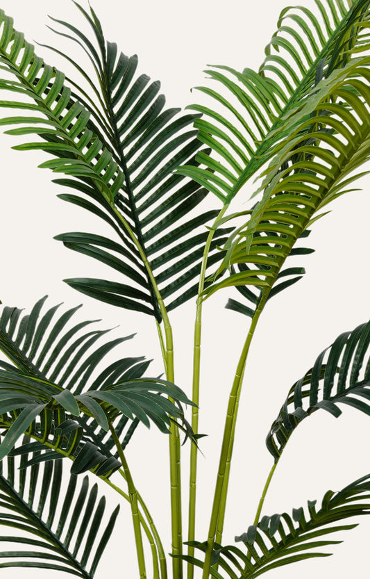 Artificial Areca Palm Plant – 5.5 Feet