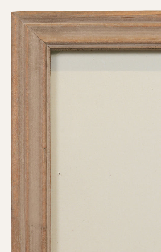 Bird Illustration Wall Art - Set Of 2