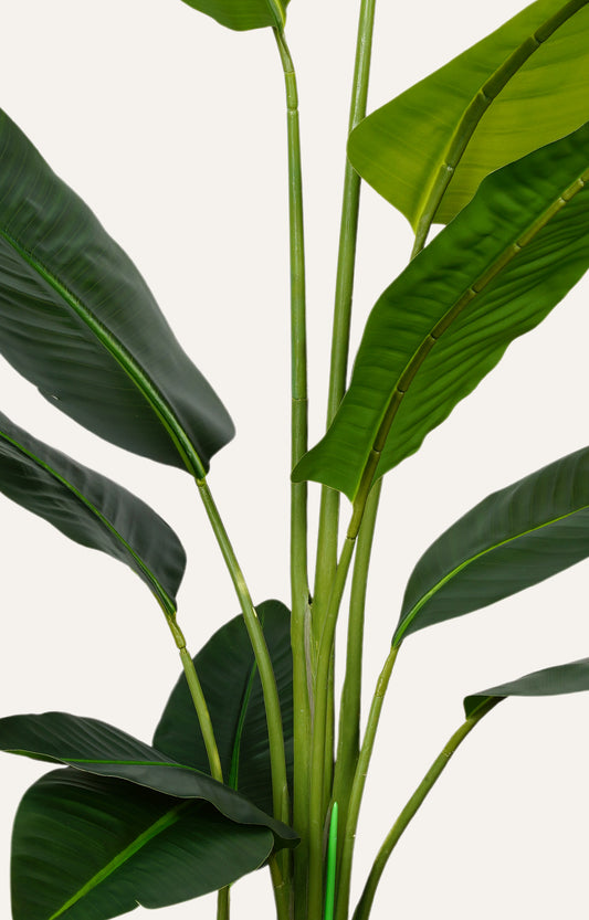 Artificial Bird of Paradise Plant – 6 Feet