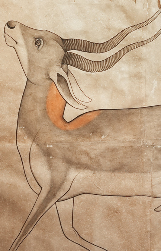 Antelope Painting