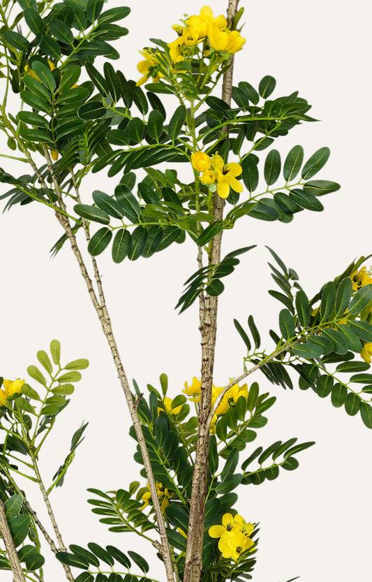 Artificial Yellow Mimosa Plant – 7.5 Feet