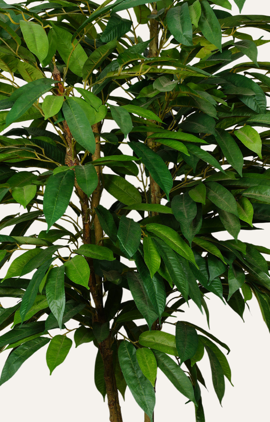 Large Faux Ficus Tree - Green