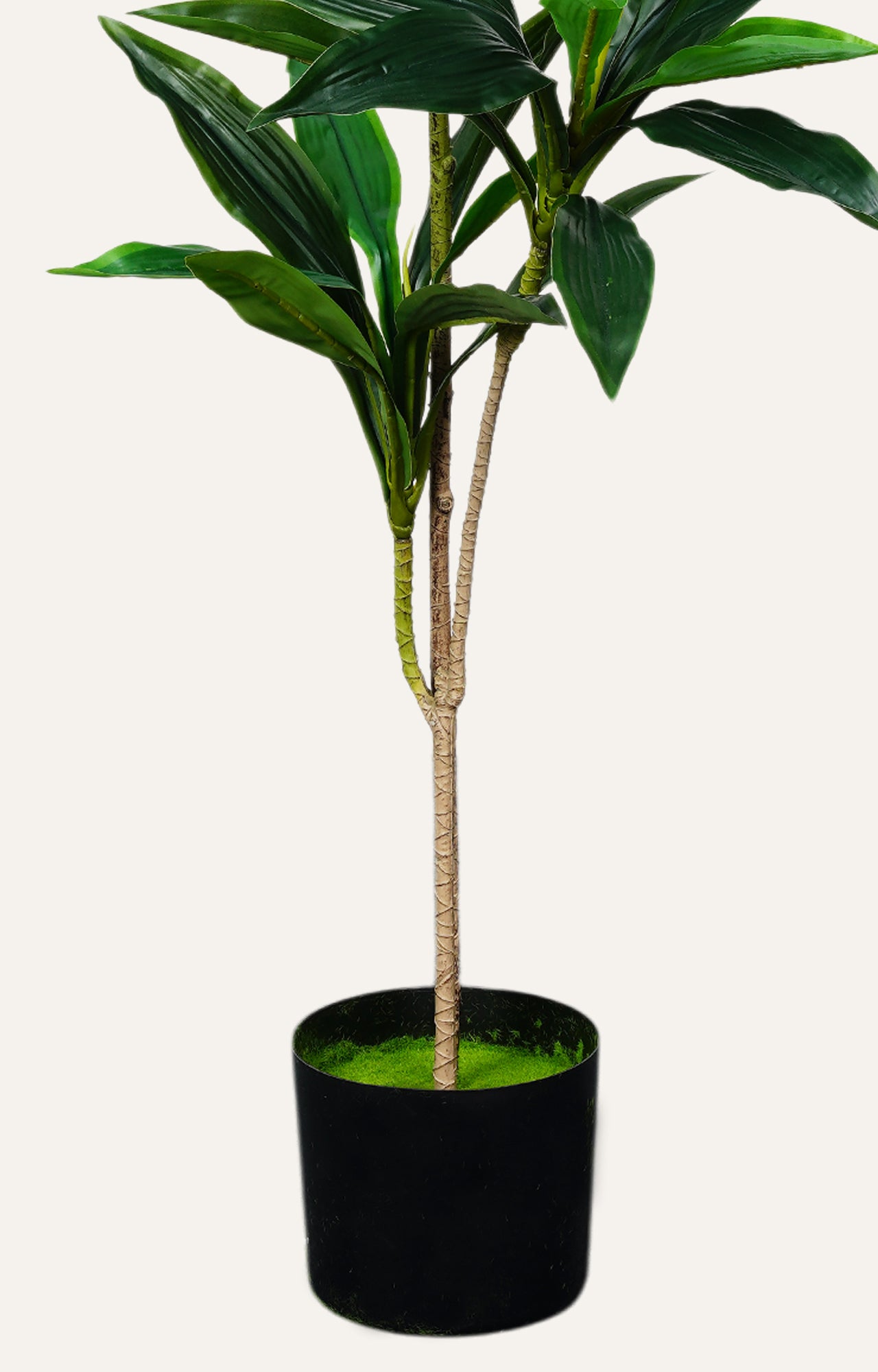 Artificial Dracaena Corn Plant – 3 Feet