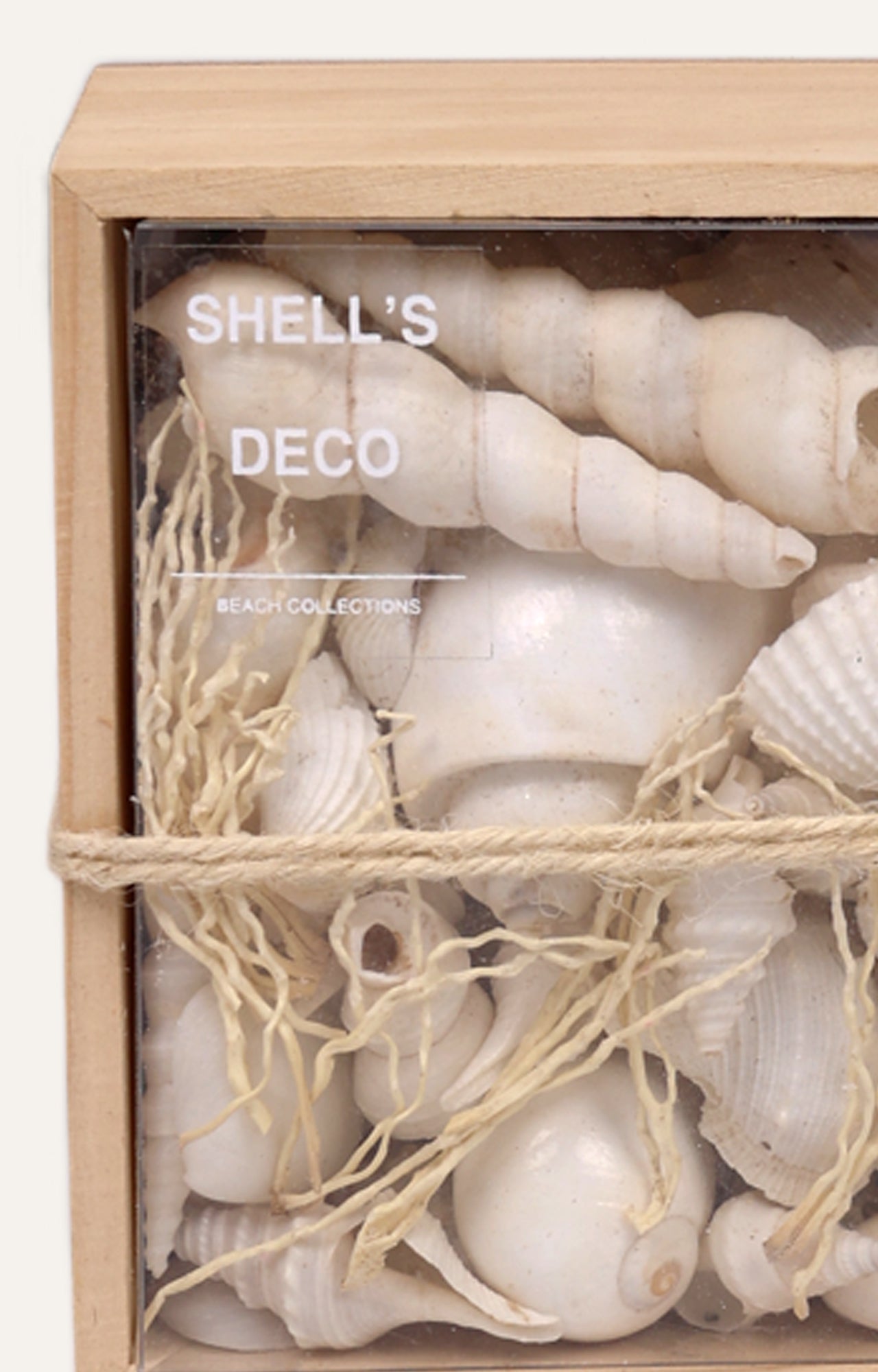 Thesauros Wooden Beach Shell Box