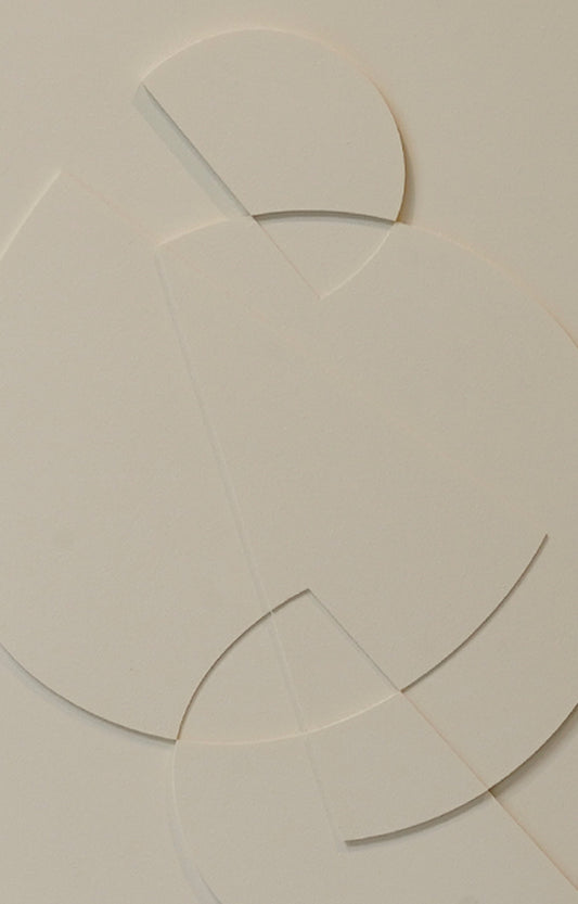 Set of 2 Illusion 3D Sculpture Wall Art Relief on Canvas