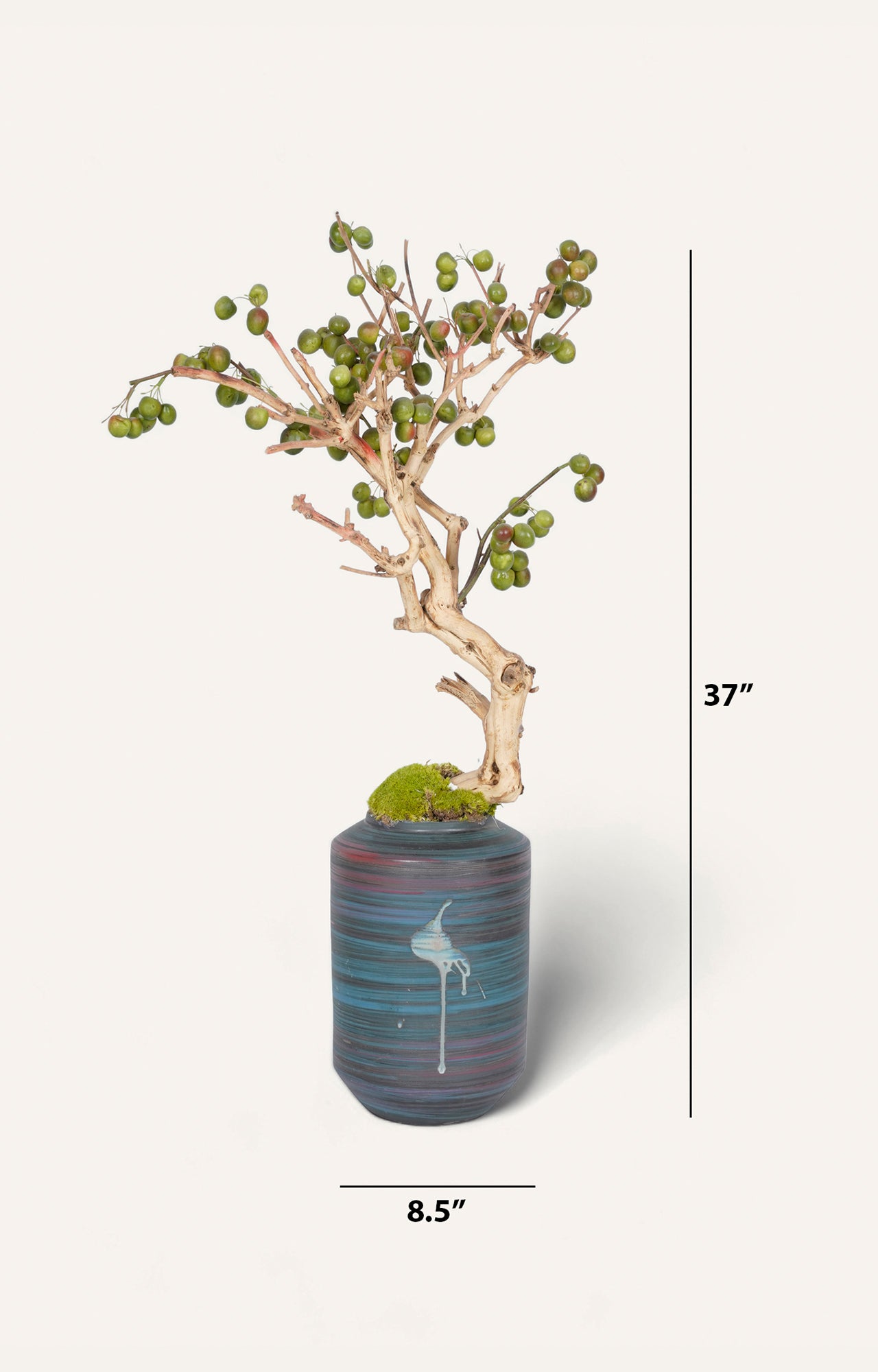 Blue Ceremic Flower Vase With Plant