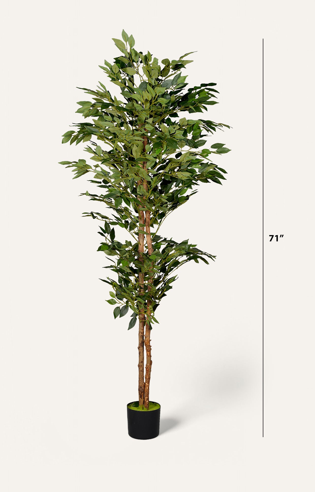 Artificial Ficus Tree – 6 Feet