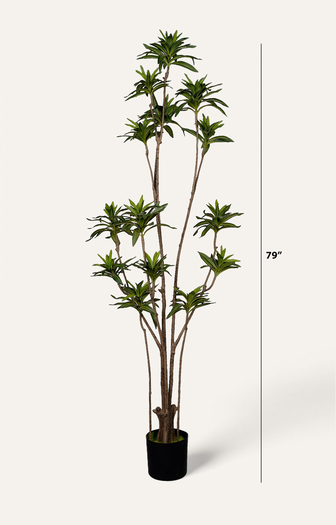 Artificial Ming Aralia Plant – 6.5 Feet