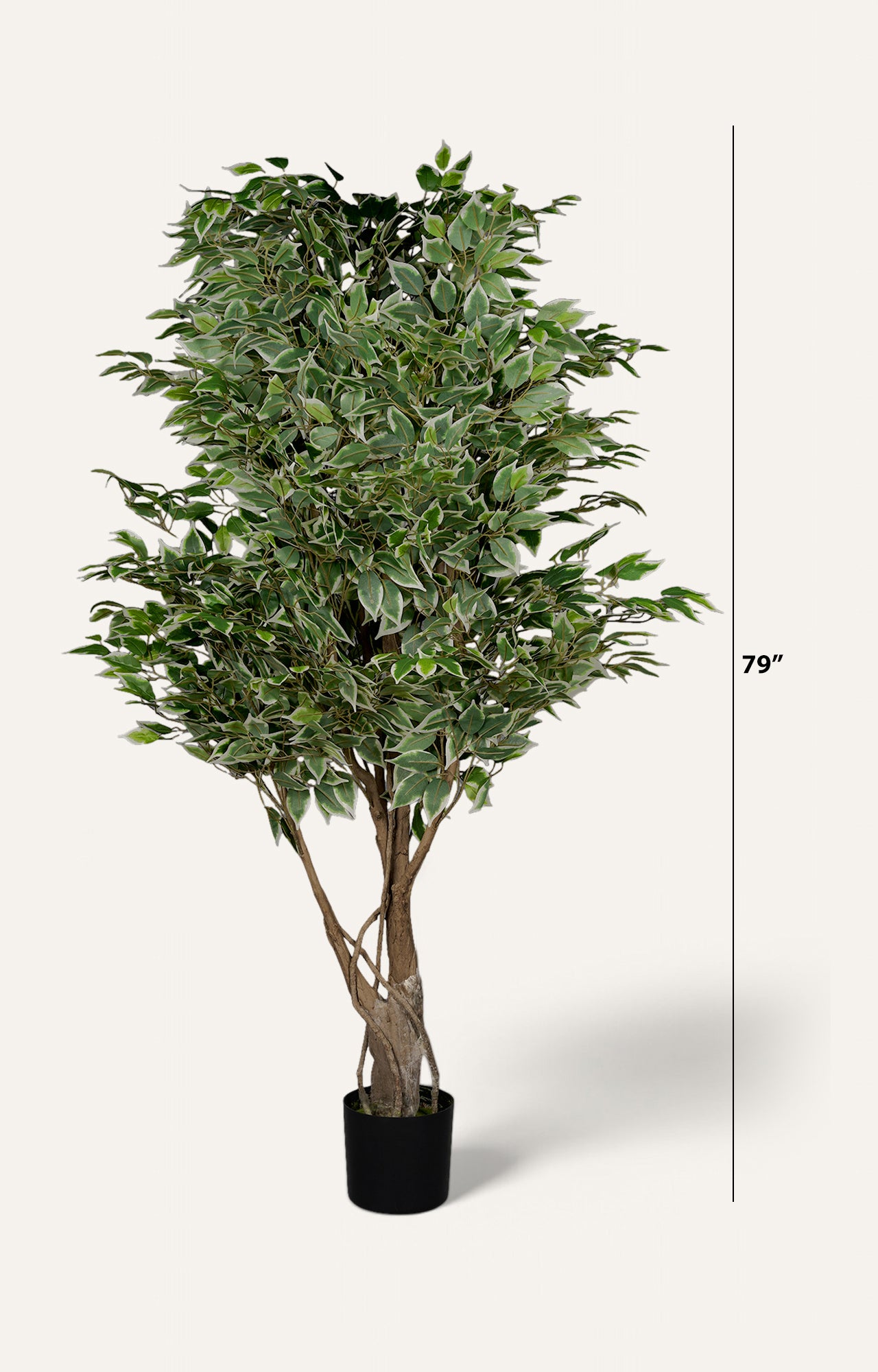 Artificial Variegated Ficus Tree – 6.5 Feet