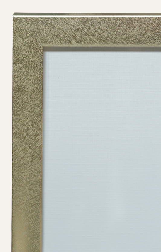 Pitcher Plant Botanical Prints - Set Of 2