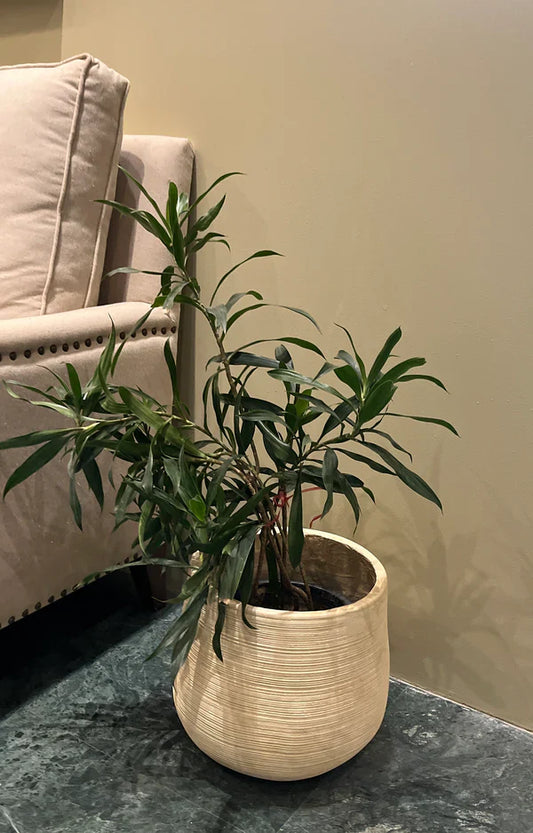 Earthy Planter Small