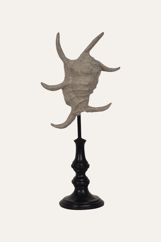 Decorative Marine Fossil Resin Sculpture Set