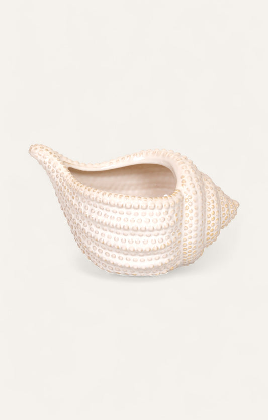 Ceramic Shell-Shaped Planter
