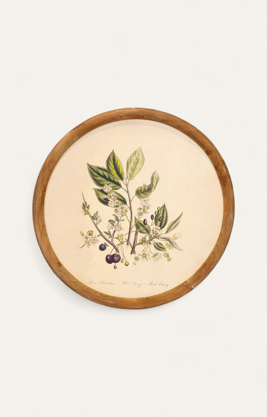 Wood Wall Décor Set of 4