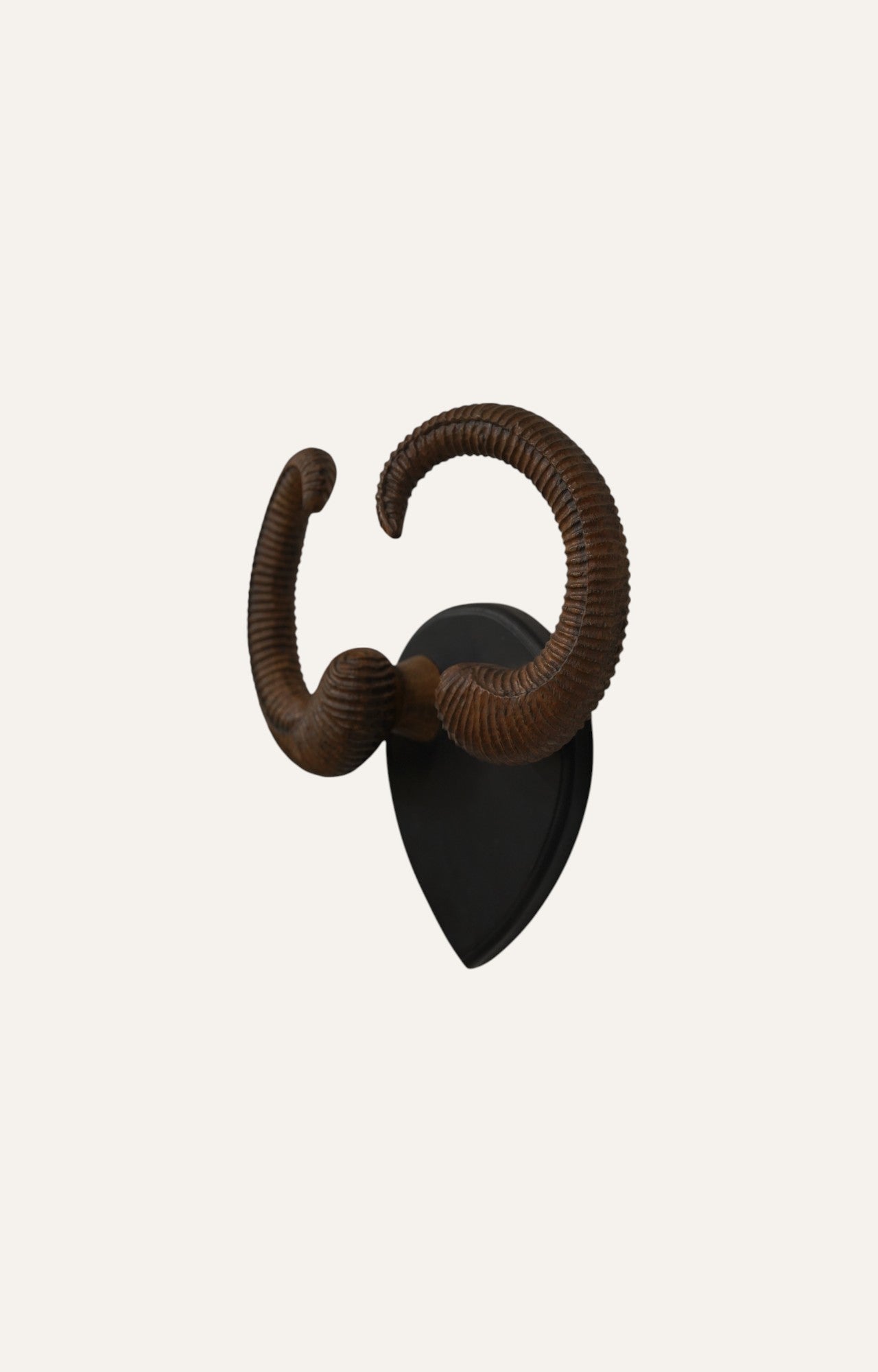 Curled Ram Horn Antlers Wall Mount
