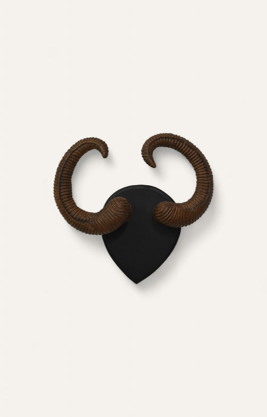 Curled Ram Horn Antlers Wall Mount