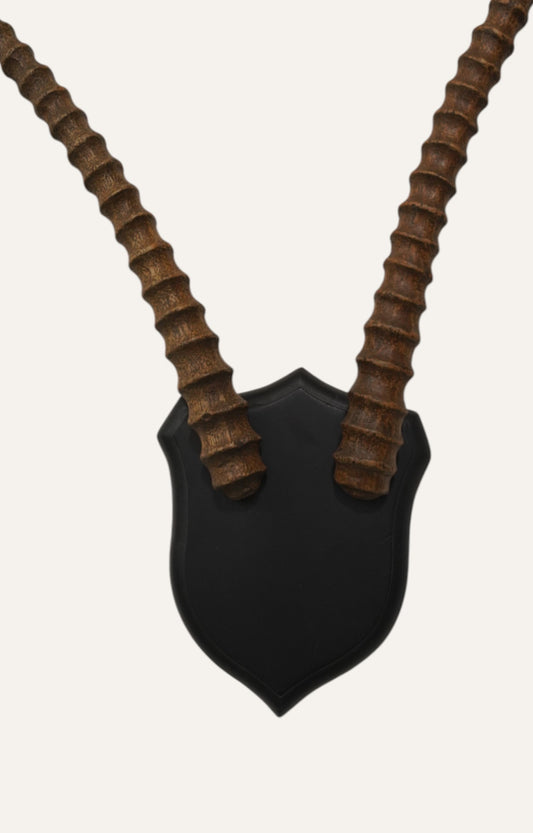 Spiral Kudu Horn Antlers Wall Decor