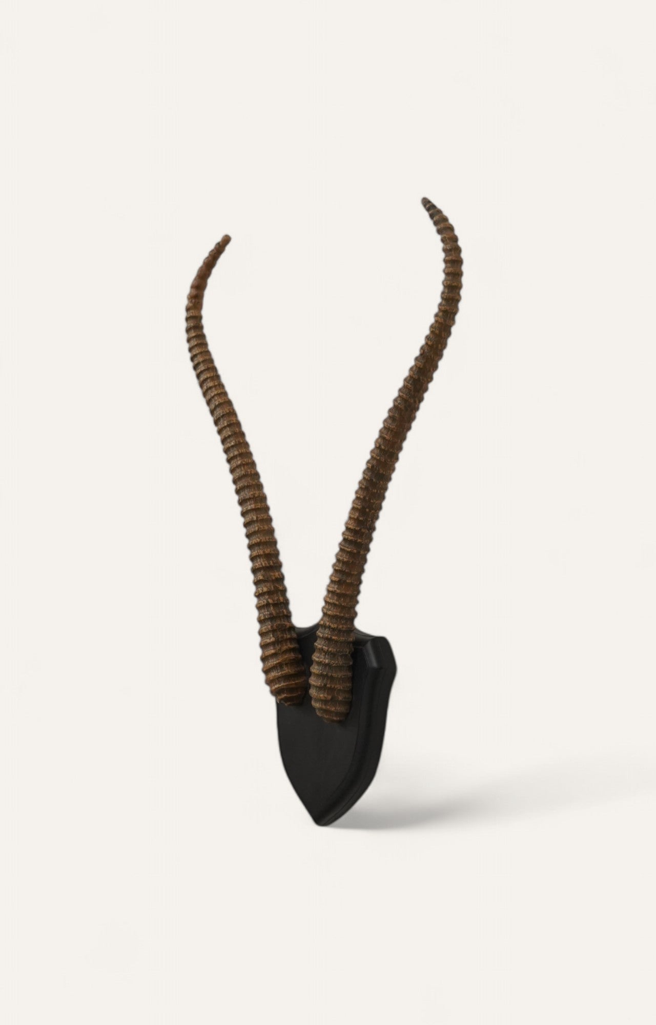 Spiral Kudu Horn Antlers Wall Decor