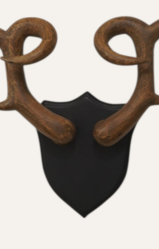 Wide-Spanning Stag Horns Wall Antlers