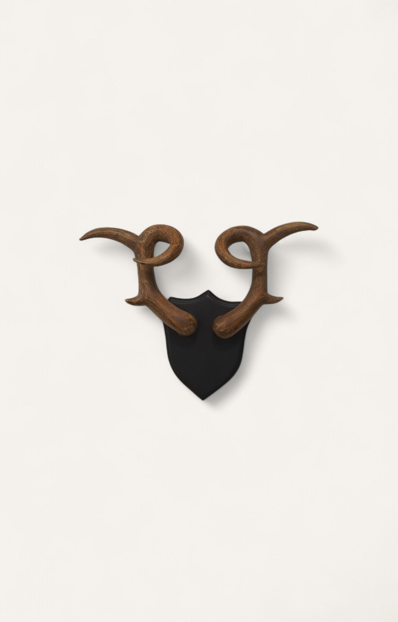 Wide-Spanning Stag Horns Wall Antlers