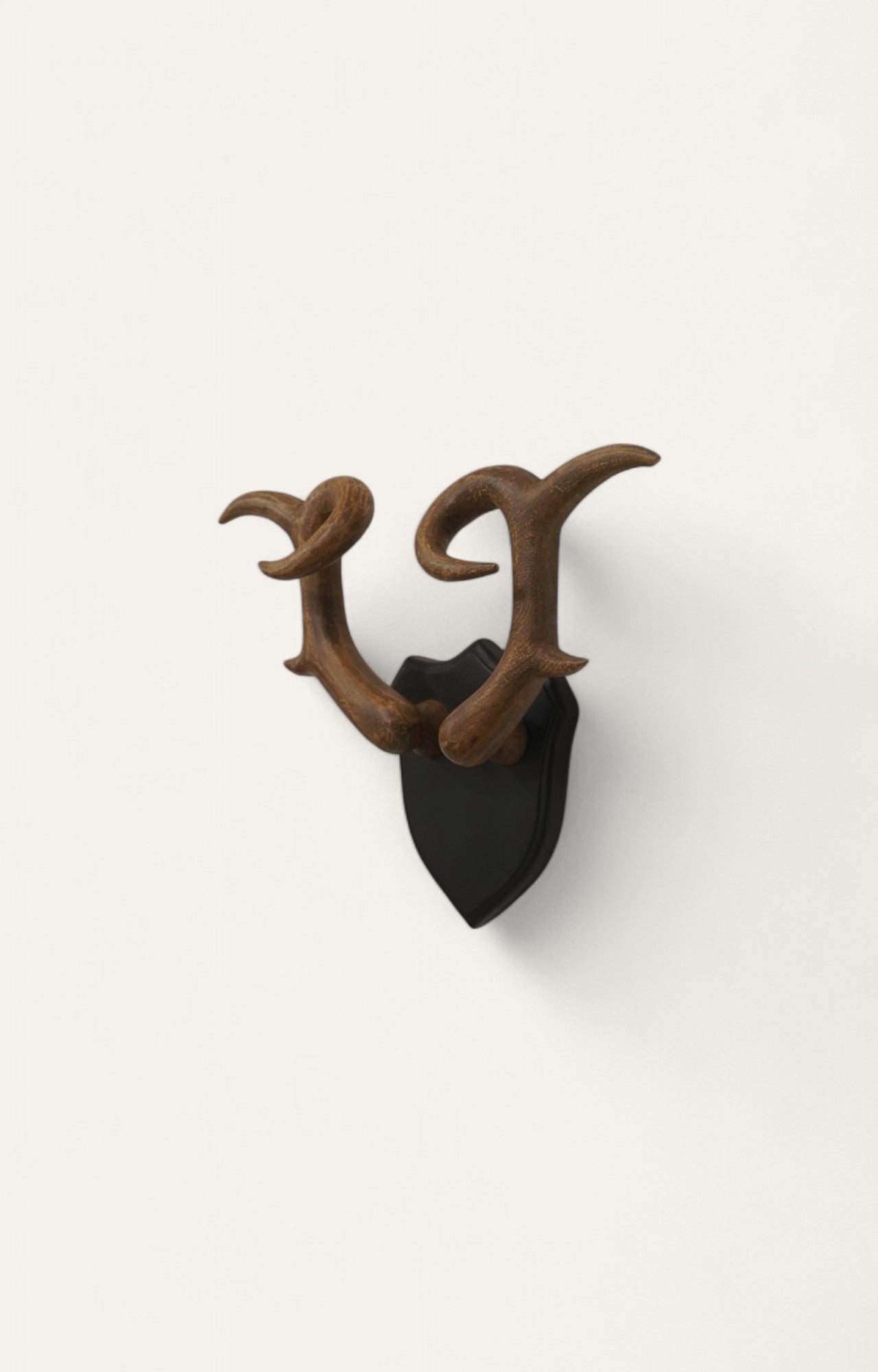 Wide-Spanning Stag Horns Wall Antlers