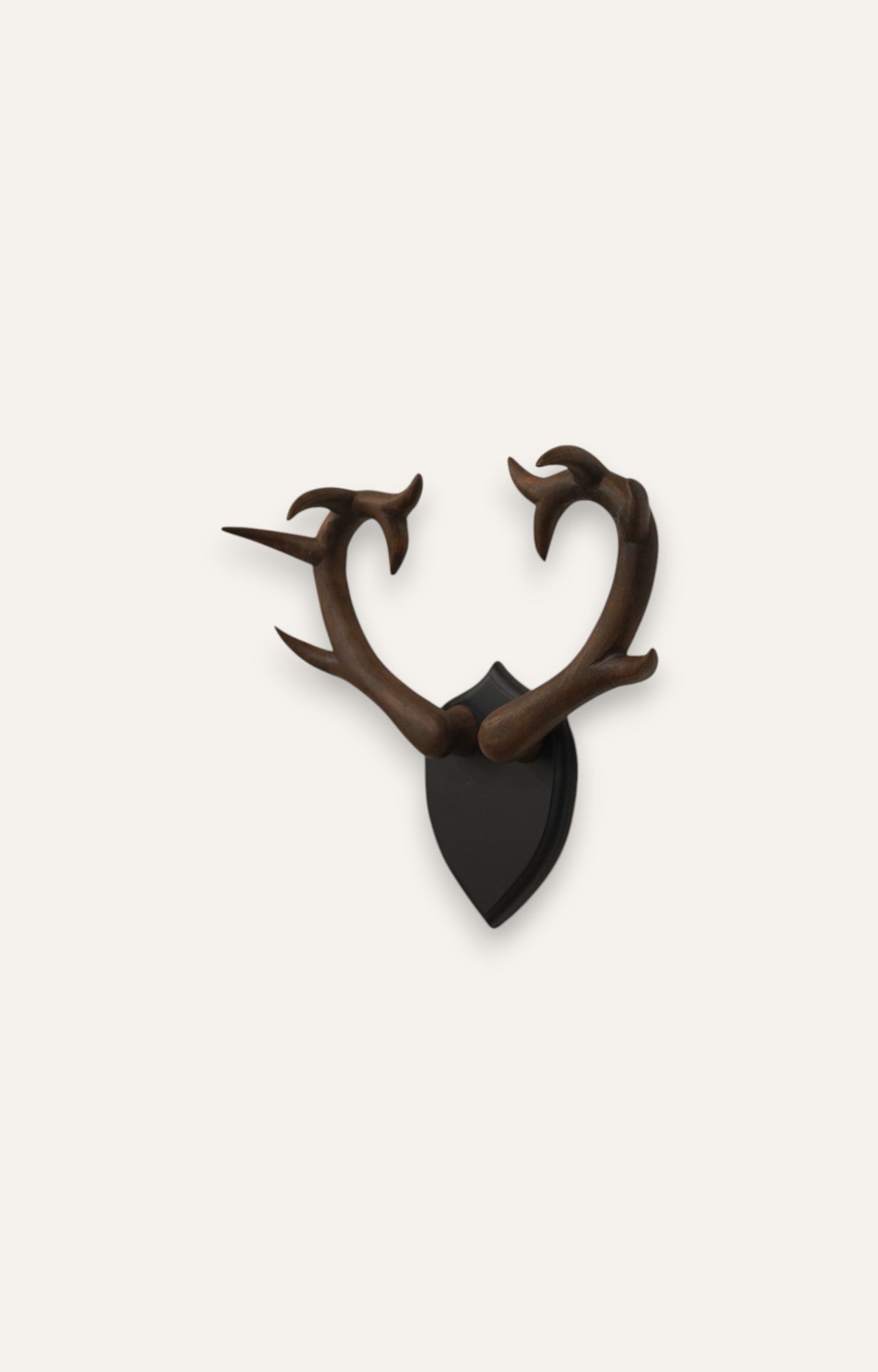 Baroque Curl Wooden Antlers Wall Display