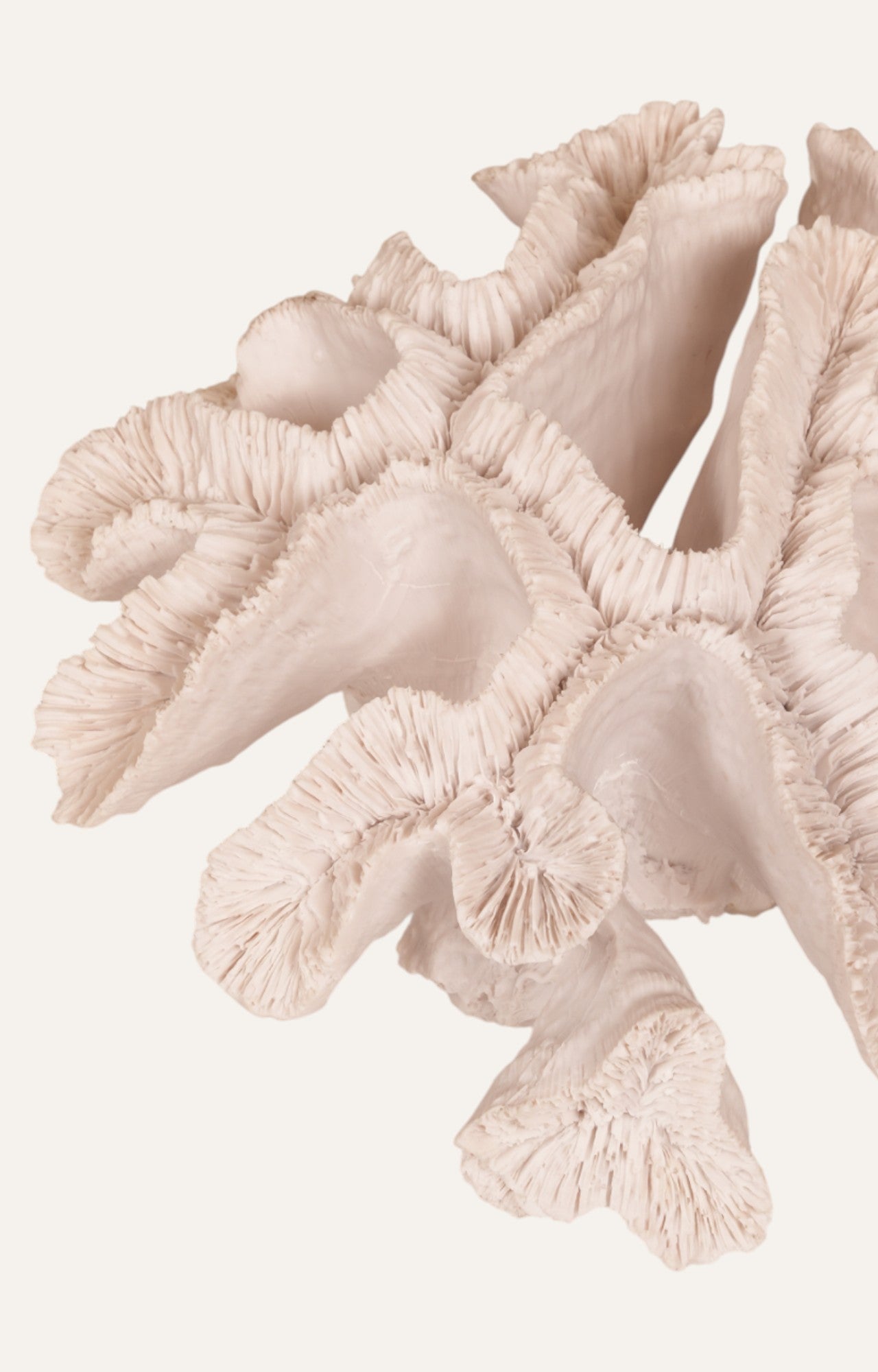 Polyresin Coral Table Decor