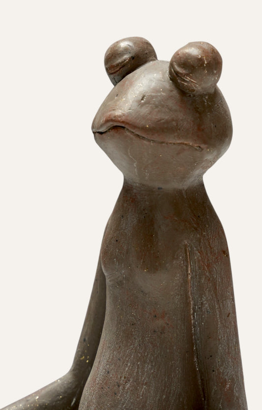 Meditative Yogic Frog