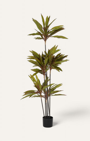 Noir Matte Cylindrical Vase
