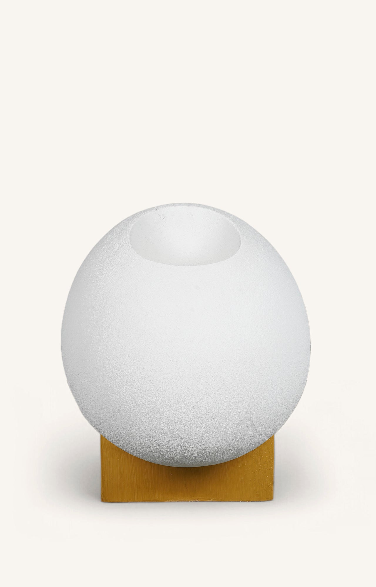 Abstract Egg Shaped Resin Planter