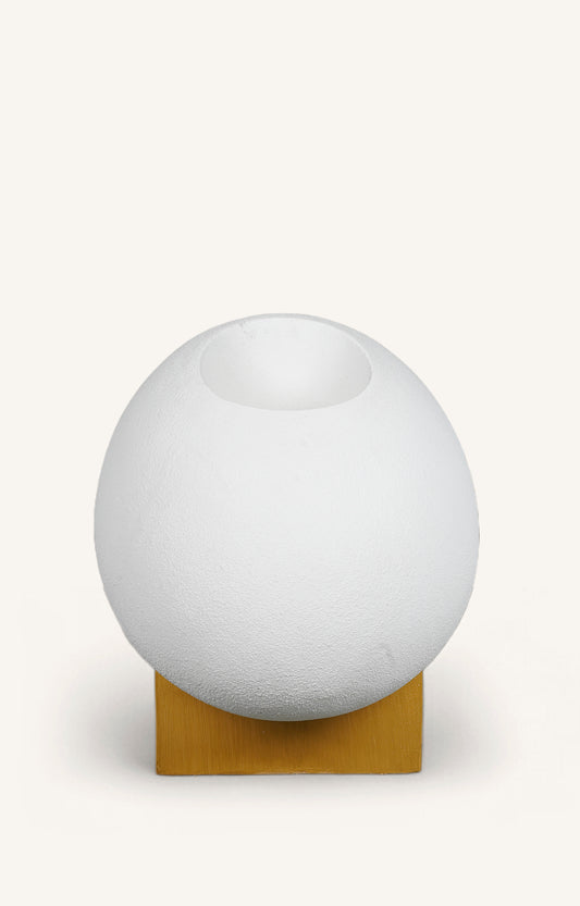 Abstract Egg Shaped Resin Planter