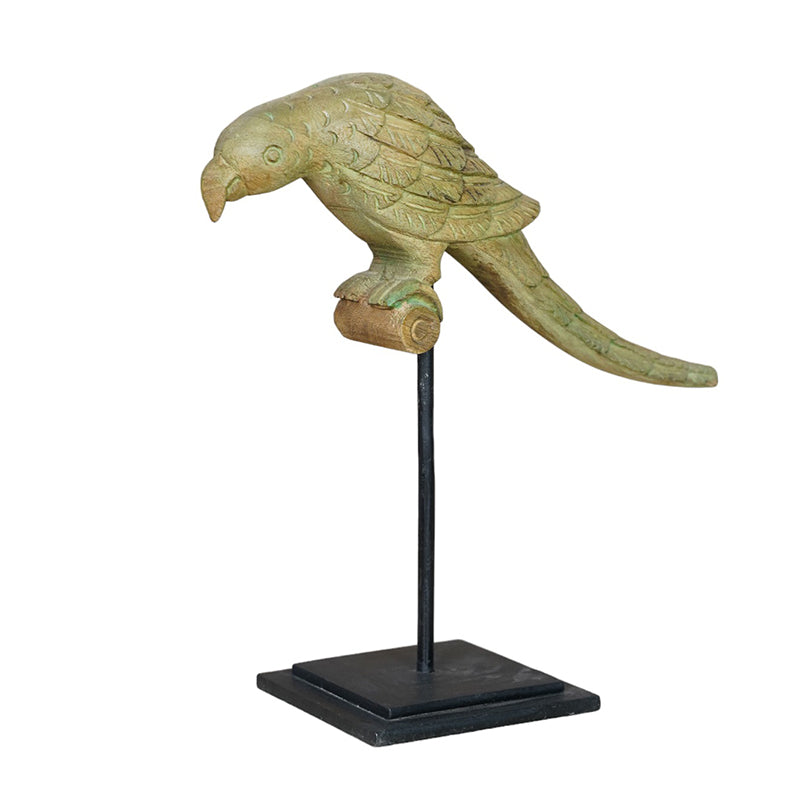 Parrot on Stand