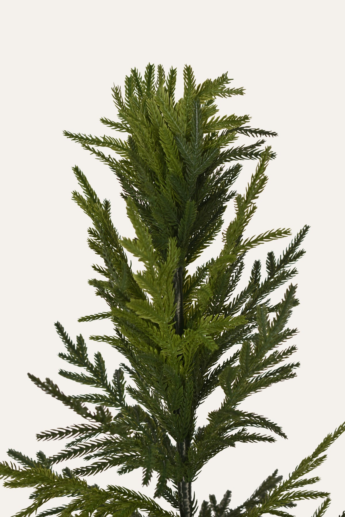 Evergreen Calm Artificial Mini Pine Plant – Samurai Exports