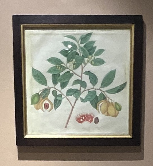 Miniature Painting